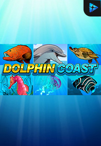 Bocoran RTP Dolphin Coast Microgaming di RTP PIN4D